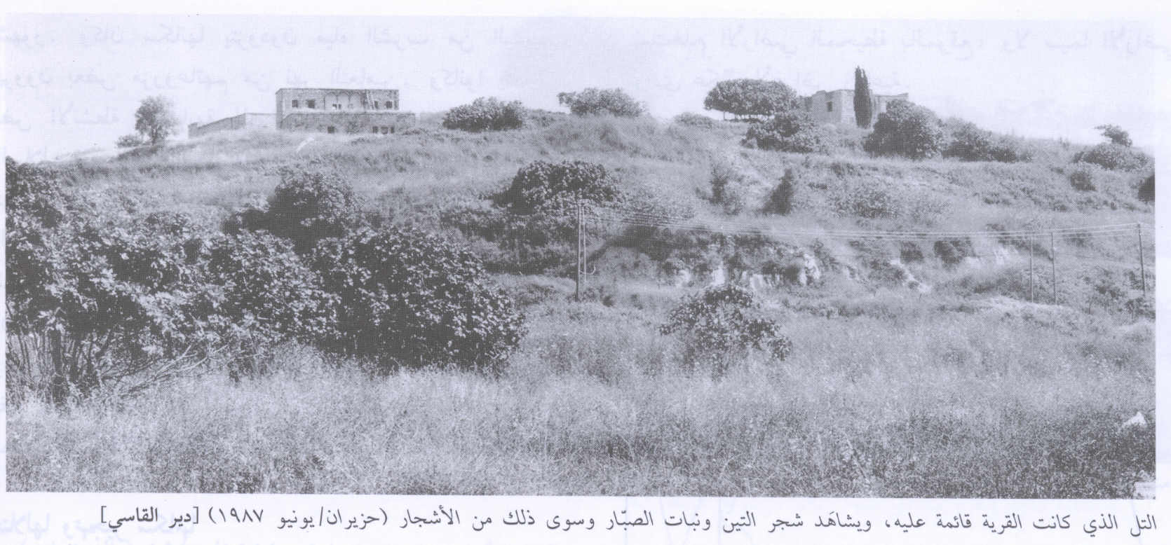 صورة لقرية دير القاسي - فلسطين: : منظر عام لموقع قرية دير القاصي المهجرة، اُنقر الصورة لتكبيرها. 1987