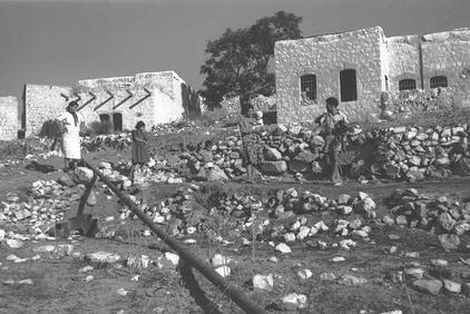صورة لقرية دير القاسي - فلسطين: : صورة نادرة للصهاينة يستغلون بيوت أهل دير القاسي بعد النكبة. لاحظ بان معالم القرية لا تزال واضحة وهذا دليل بان القرية لم تدمر بسبب حرب بل عن قصد لمنع سكانها من الرجوع