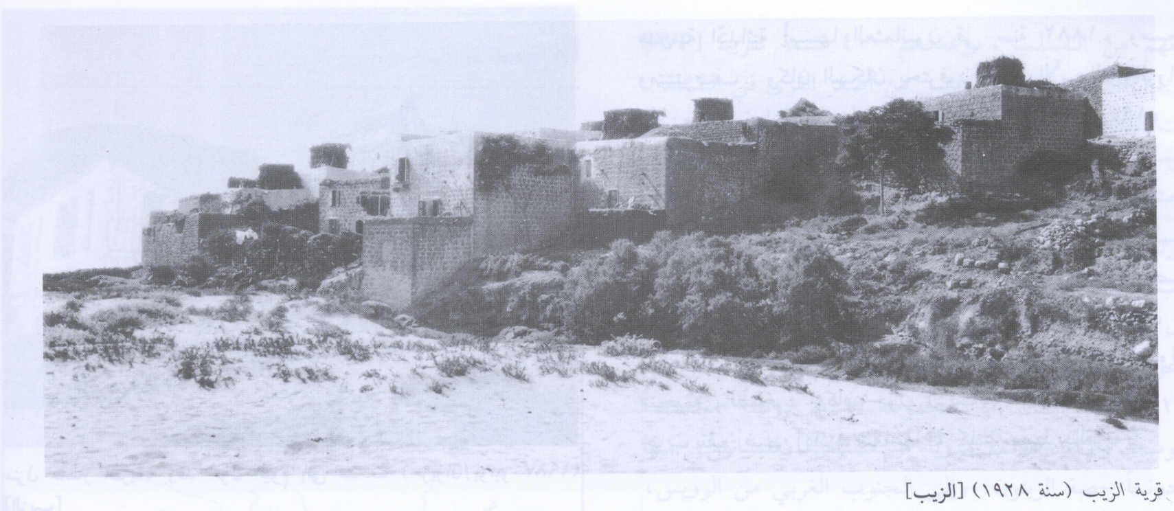صورة لقرية الزيب - فلسطين: : منظر عام للزيب، اُنقر الصورة لتكبيرها. 1928