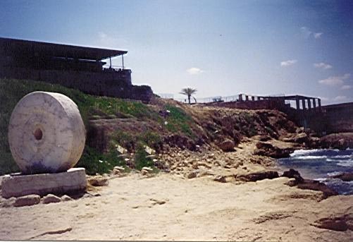 صورة لقرية الزيب - فلسطين: : ما تبقى من المعصرة-1992