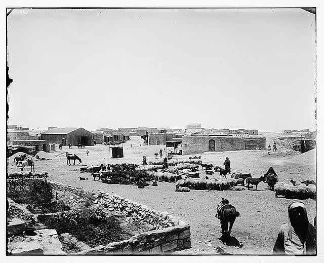 Click to enlarge