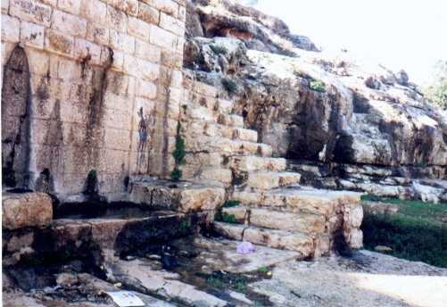 صورة لقرية بيت دقو - فلسطين: : عين سلمان