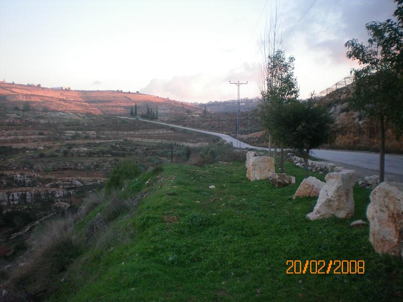 صورة لقرية بيت دقو - فلسطين: : spring time