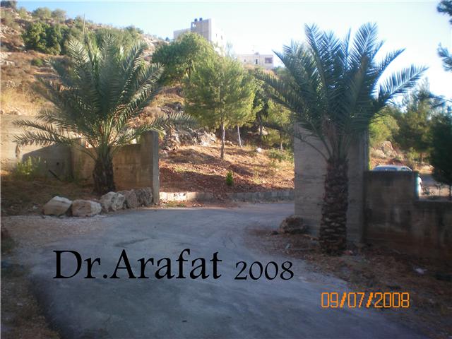 صورة لقرية بيت دقو - فلسطين: : بوابة المقبرة