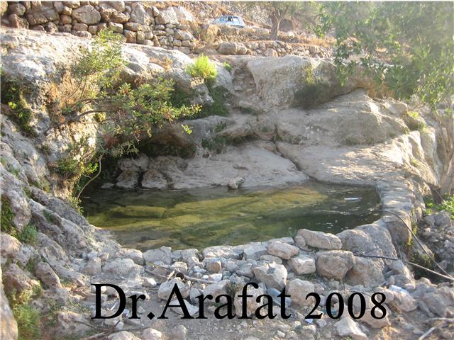 صورة لقرية بيت دقو - فلسطين: : بركة عين جفنا-Ain Jifna