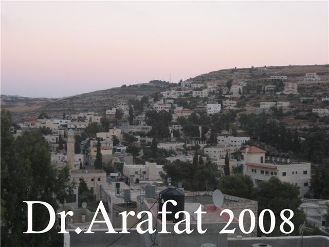 صورة لقرية بيت دقو - فلسطين: : The village