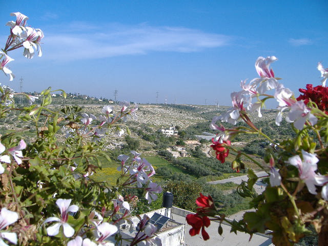 صورة لقرية بيت سيرا - فلسطين: : منظر للقرية