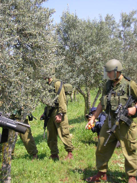 صورة لقرية بيت سيرا - فلسطين: : قوات الاحتلال الاسرائيلئ يطلقون النار وقنابل الصوت على ابناء قرية بيت سيرا