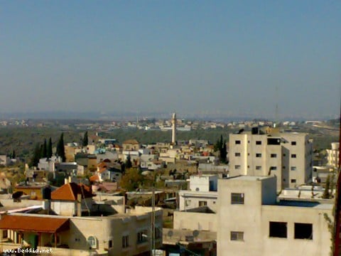صورة لقرية بديا - فلسطين: : منظر عام لمدينة بديا