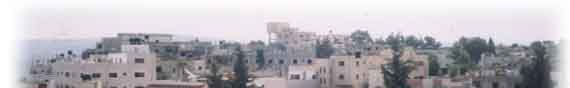 صورة لمخيم مخيم دير عمار - فلسطين: : منظر عام للمخيم