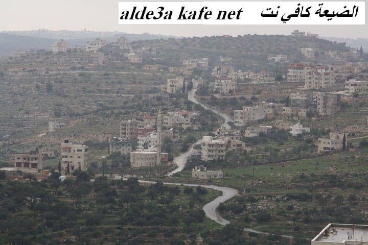 صورة لقرية دير السودان - فلسطين: : دير السودان