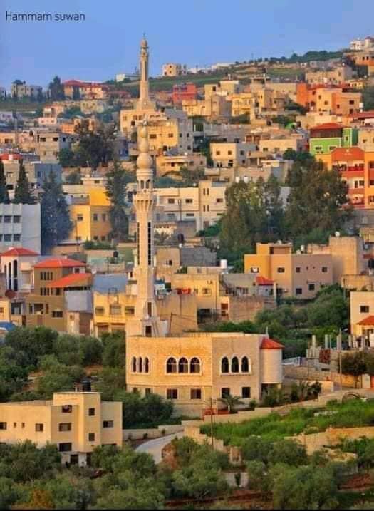 صورة لقرية إماتين - فلسطين: : منظر عام