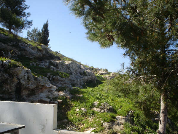 صورة لقرية جنيد - فلسطين: : منظر عام