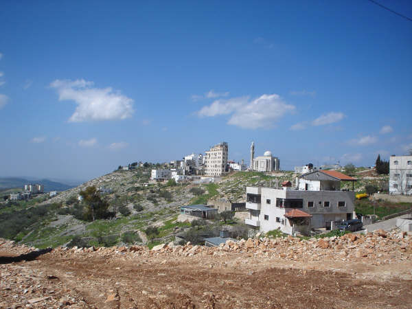 صورة لقرية جنيد - فلسطين: : منظر عام