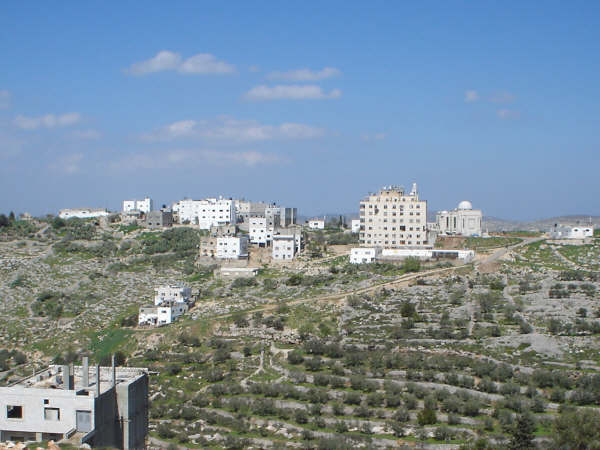 صورة لقرية جنيد - فلسطين: : منظر عام