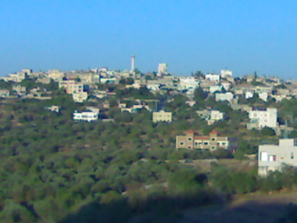 صورة لقرية كفر عبوش - فلسطين: : منظر عام