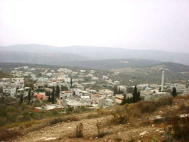 صورة لقرية كفر راعي - فلسطين: : مشهد من ظهرة الشونة للجنوب والغرب