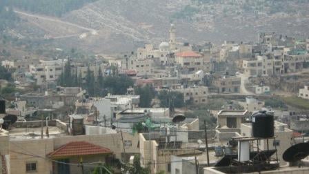 صورة لقرية نحّالين - فلسطين: : منظر عام