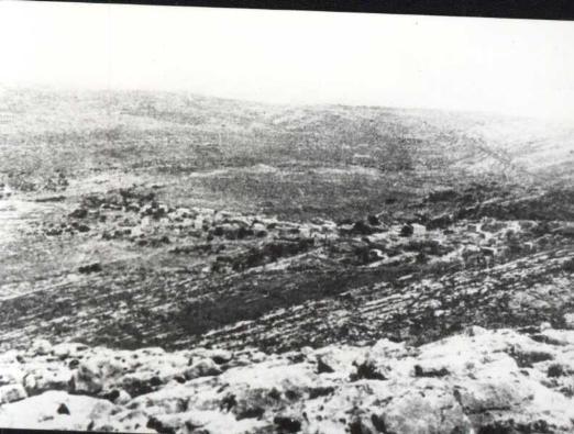 صورة لقرية نحّالين - فلسطين: : نحالين : صورة لقرية نحالين عام 1947 - مشاركة صفافي