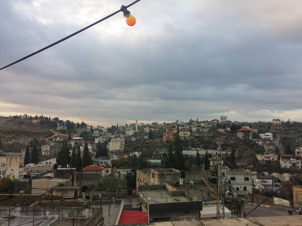 صورة لقرية قفين - فلسطين: : منظر عام #2