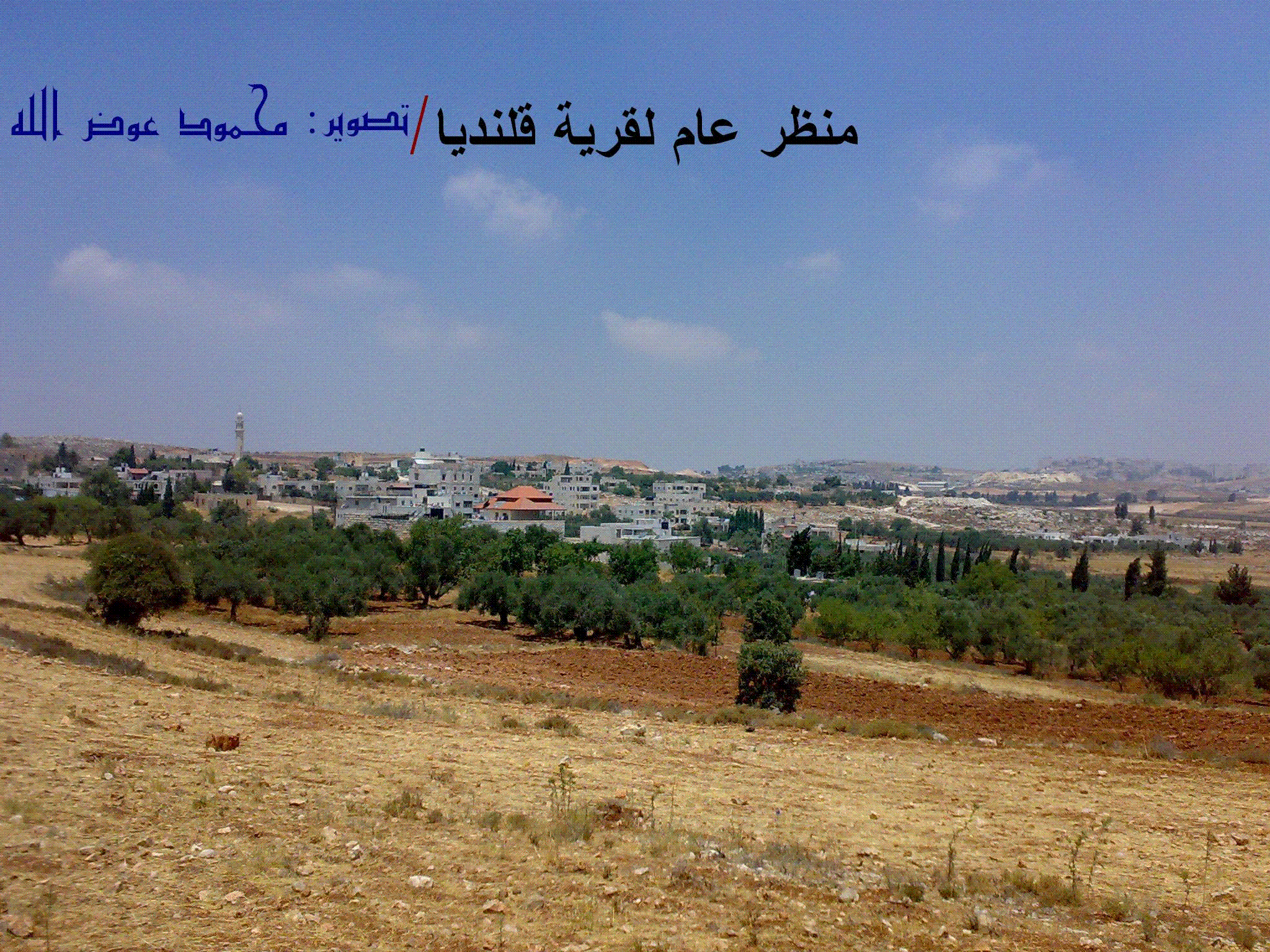 صورة لقرية قلنديه - فلسطين: : صورة لقرية قلنديا