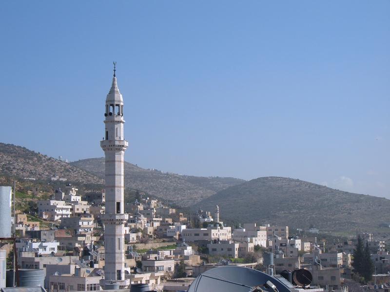 صورة لقرية قراوة بني زيد - فلسطين: : منظر عام