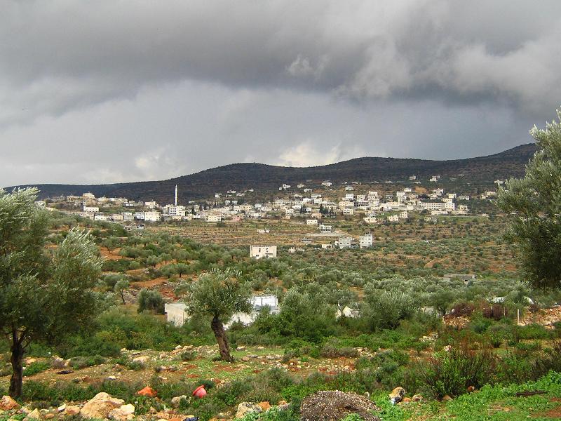 صورة لقرية قراوة بني زيد - فلسطين: : منظر عام