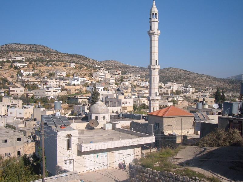 صورة لقرية قراوة بني زيد - فلسطين: : منظر عام