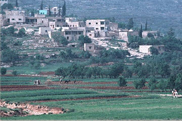 صورة لقرية رابا - فلسطين: : رابا