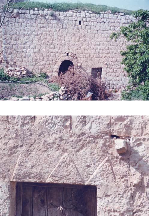 صورة لقرية رمون - فلسطين: : المباني القديمة # 44