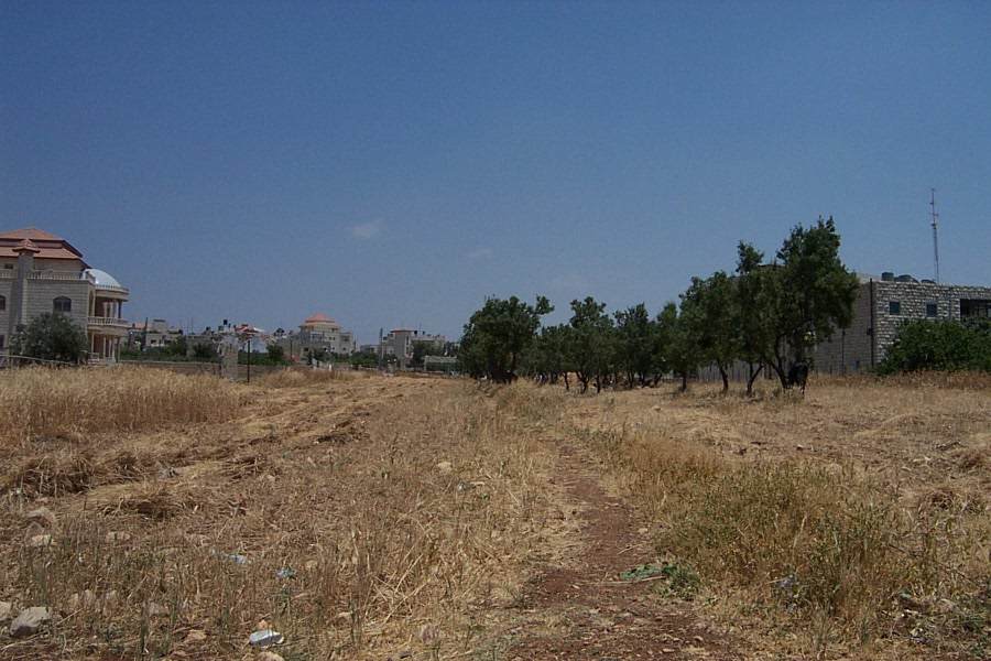 صورة لقرية رمون - فلسطين: : لـــــــــــــقــــطـــــــــــــــة عــــــــــــــــــــامــــــــــــــــــــــــــــــة # 11 #
