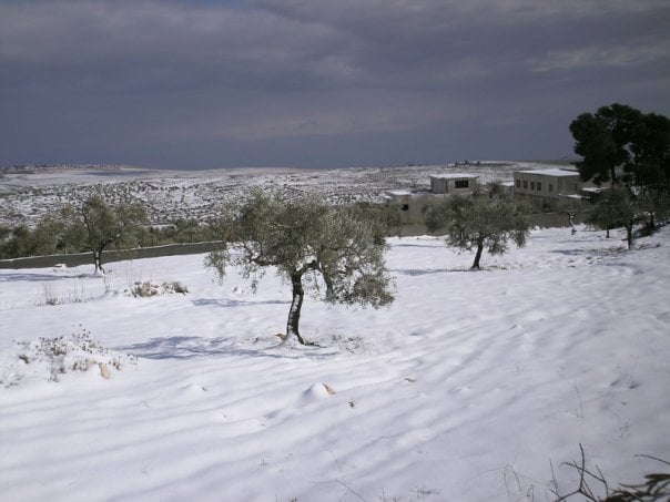 صورة لقرية رمون - فلسطين: : Snow