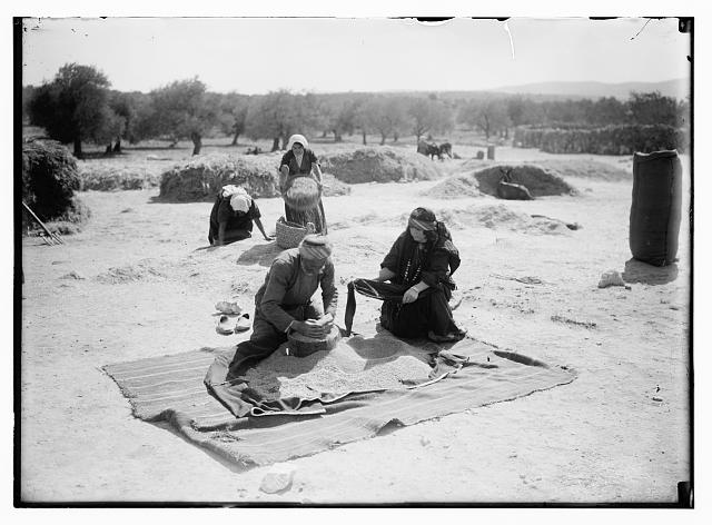 صورة لقرية رمون - فلسطين: : رمون 1898 م لقطة للبيادر من صور المصور الانكليزي اريك .