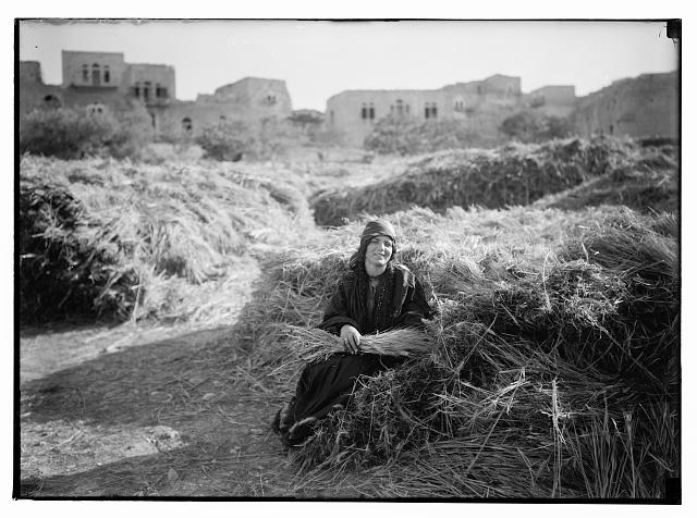 صورة لقرية رمون - فلسطين: : رمون 1898 م لقطة على البيادر من صور المصور الانكليزي اريك .