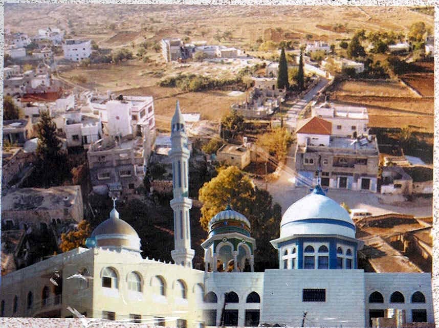 صورة لقرية رنتيس - فلسطين: : منظر العام