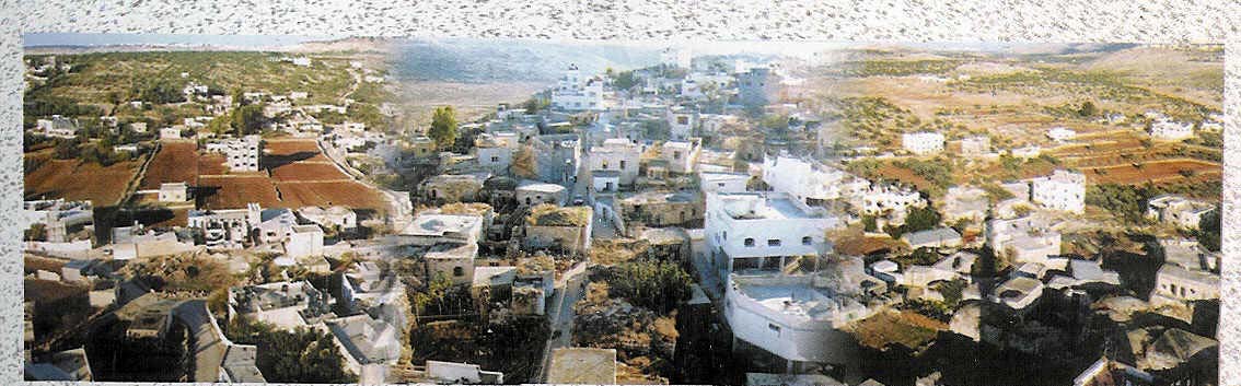 صورة لقرية رنتيس - فلسطين: : احدى ضواحي القرية من الجهة الجنوبية