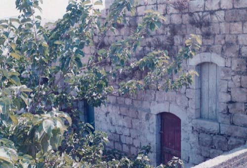 صورة لقرية رنتيس - فلسطين: : رنتـــــيـــــــــس القـــــديـمـــــــــــــة #9