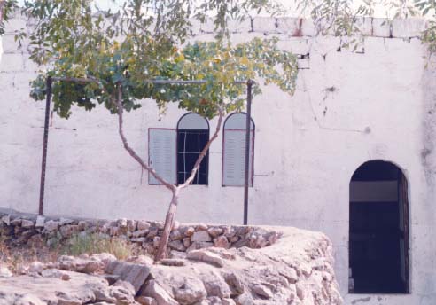 صورة لقرية رنتيس - فلسطين: : رنتـــــيـــــــــس القـــــديـمـــــــــــــة #11