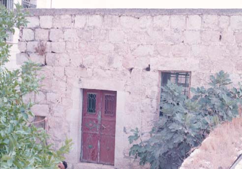 صورة لقرية رنتيس - فلسطين: : رنتـــــيـــــــــس القـــــديـمـــــــــــــة #14