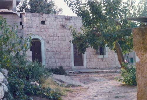 صورة لقرية رنتيس - فلسطين: : رنتـــــيـــــــــس القـــــديـمـــــــــــــة #23
