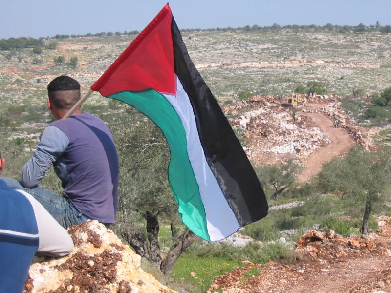 صورة لقرية صفا - فلسطين: : تظاهر ضد الجدار العنصري وإغتصاب الأرض