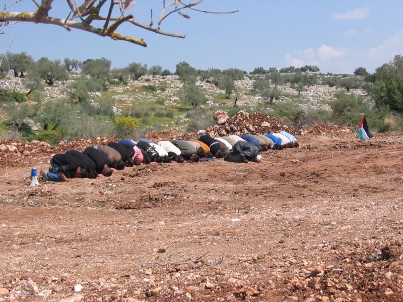 صورة لقرية صفا - فلسطين: : صلاة جماعية على الأراضي المخصصة للجدار العنصري