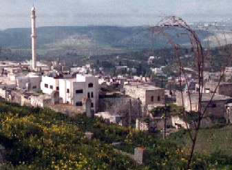صورة لقرية سيلة الظهر - فلسطين: : منظر عام