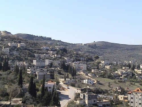 صورة لقرية سيلة الظهر - فلسطين: : منظر عام