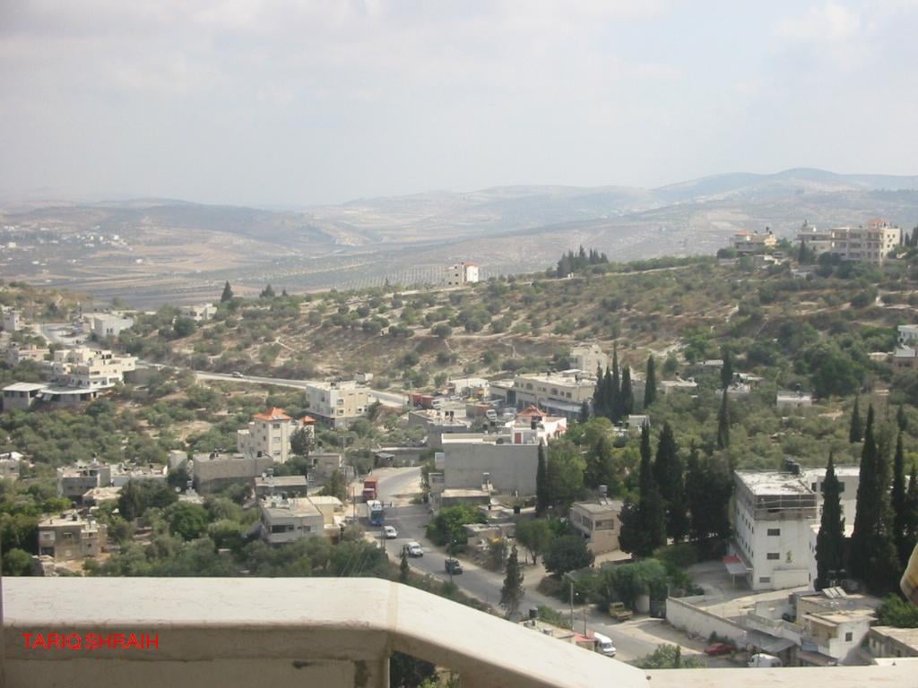 صورة لقرية سيلة الظهر - فلسطين: : منظر عام