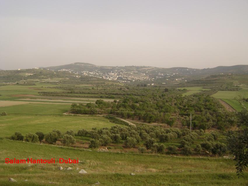 صورة لقرية سيلة الظهر - فلسطين: : سيلة الظهر..... ربيع 2008 - 1 - سلام حنتولي