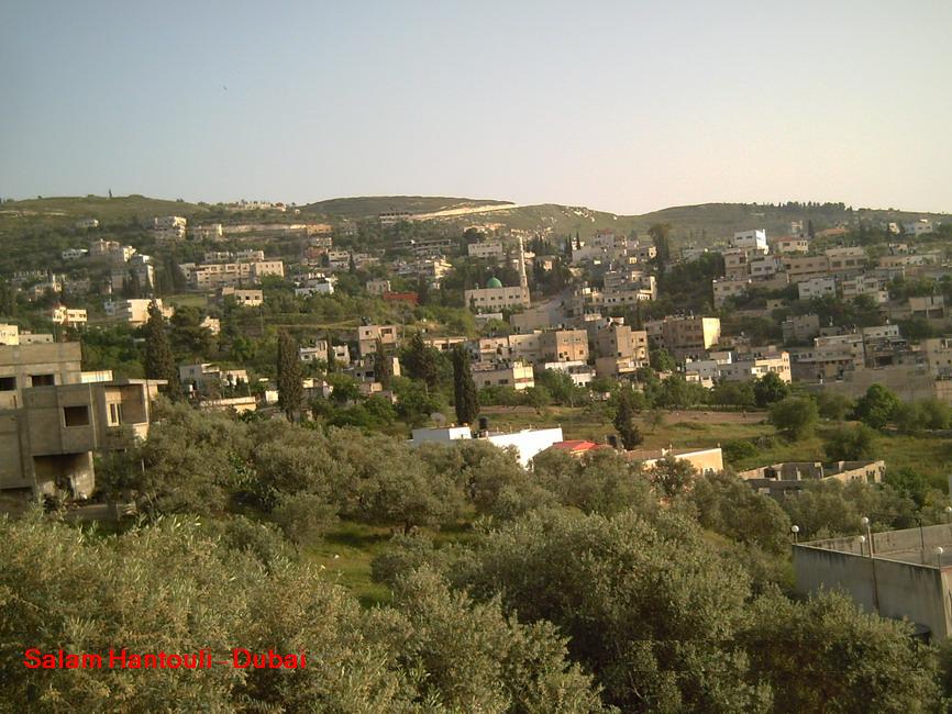 صورة لقرية سيلة الظهر - فلسطين: : سيلة الظهر..... ربيع 2008 - 3- سلام حنتولي
