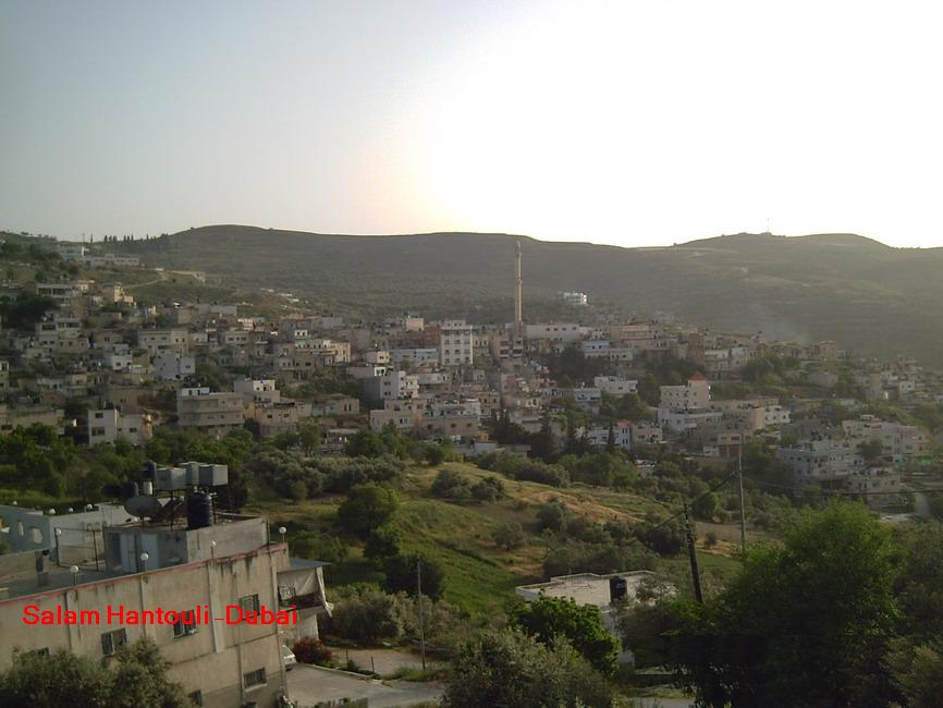 صورة لقرية سيلة الظهر - فلسطين: : سيلة الظهر..... ربيع 2008 - 4- سلام حنتولي