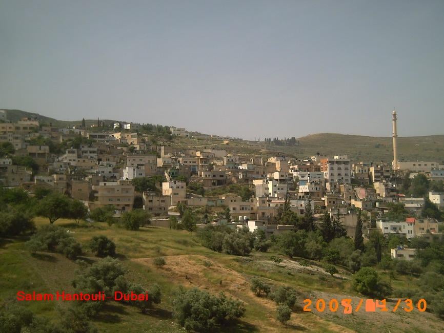 صورة لقرية سيلة الظهر - فلسطين: : سيلة الظهر..... ربيع 2008 - 6- سلام حنتولي