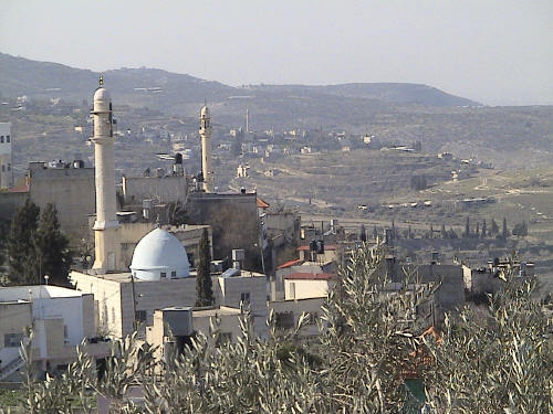 صورة لقرية سيلة الظهر - فلسطين: : الساجد